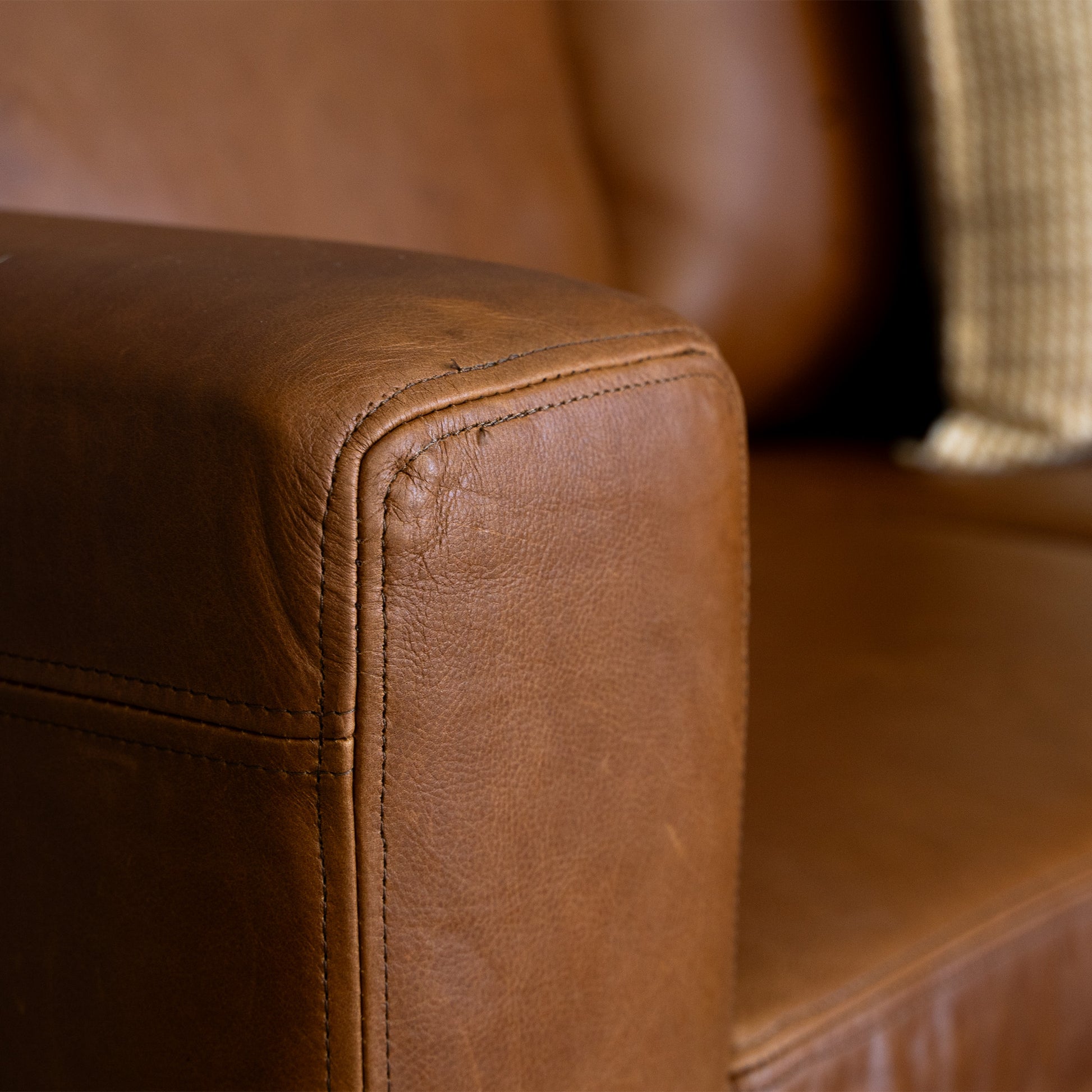 Etosha | Leather Sofa - Ouhout