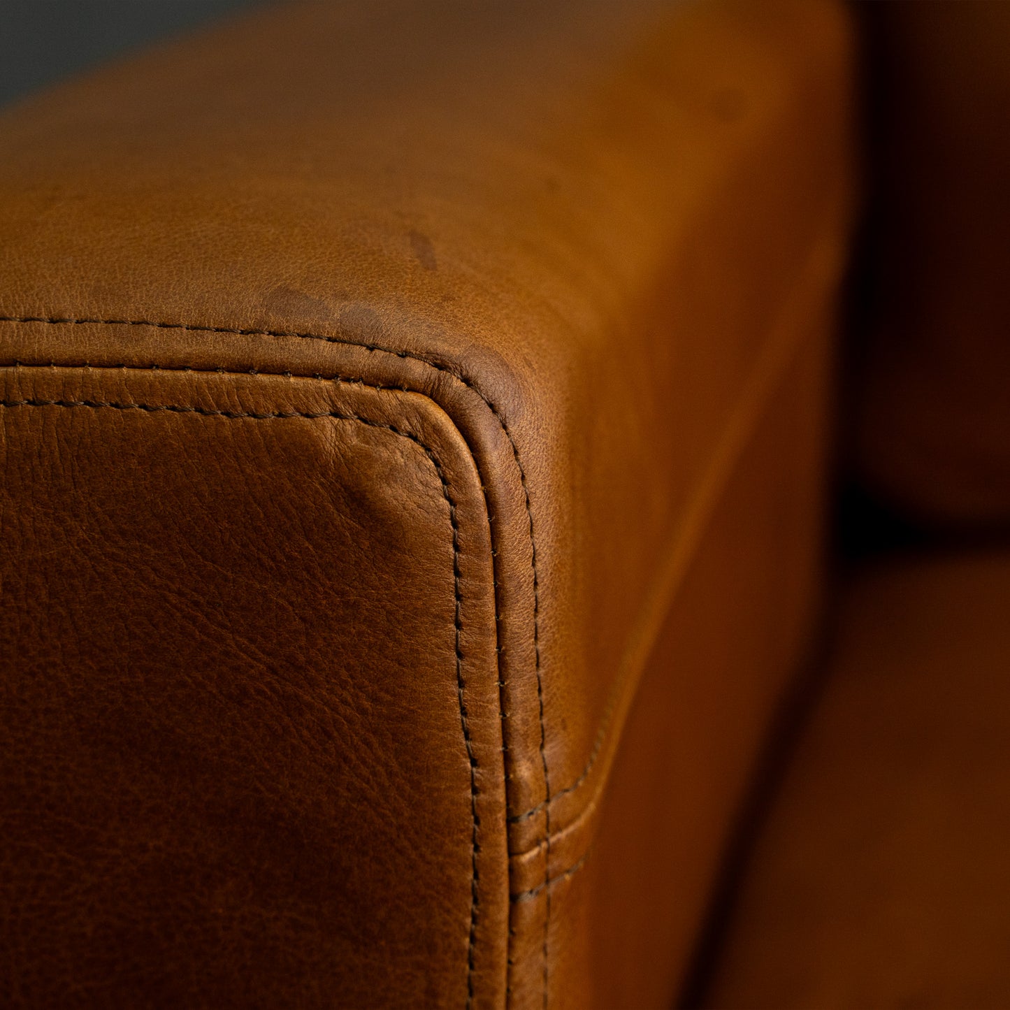 Etosha | Leather Sofa - Ouhout